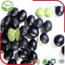 Black Beans for Sale/Black Bean with Green Kernel